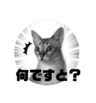 プププププーちゃん（個別スタンプ：2）