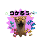 プププププーちゃん（個別スタンプ：5）