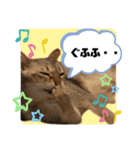 プププププーちゃん（個別スタンプ：7）