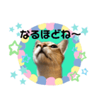 プププププーちゃん（個別スタンプ：13）