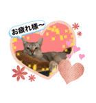 プププププーちゃん（個別スタンプ：17）