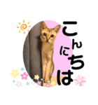 プププププーちゃん（個別スタンプ：19）