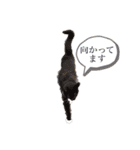 はなちゃんスタンプ5（個別スタンプ：7）