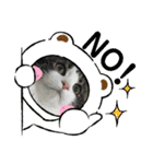 すずスタンプ2 -norwegianforestcat-（個別スタンプ：4）