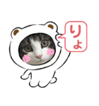 すずスタンプ2 -norwegianforestcat-（個別スタンプ：7）