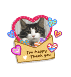 すずスタンプ2 -norwegianforestcat-（個別スタンプ：13）