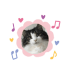 すずスタンプ2 -norwegianforestcat-（個別スタンプ：15）