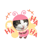 すずスタンプ2 -norwegianforestcat-（個別スタンプ：16）