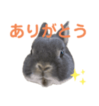 つみれスタンプ④（個別スタンプ：8）