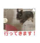 つみれスタンプ④（個別スタンプ：16）