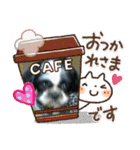 シーズ犬ラッキー2（個別スタンプ：2）