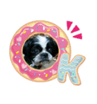 シーズ犬ラッキー2（個別スタンプ：6）