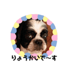 シーズ犬ラッキー2（個別スタンプ：7）