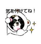 シーズ犬ラッキー2（個別スタンプ：27）
