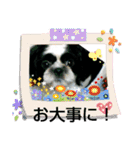 シーズ犬ラッキー2（個別スタンプ：28）