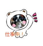 シーズ犬ラッキー2（個別スタンプ：39）