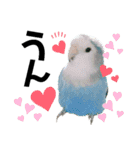 コザクラインコの空ちゃん with lovers 2（個別スタンプ：2）