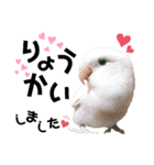 コザクラインコの空ちゃん with lovers 2（個別スタンプ：9）