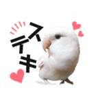 コザクラインコの空ちゃん with lovers 2（個別スタンプ：10）