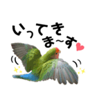 コザクラインコの空ちゃん with lovers 2（個別スタンプ：19）