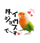 コザクラインコの空ちゃん with lovers 2（個別スタンプ：25）