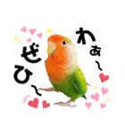 コザクラインコの空ちゃん with lovers 2（個別スタンプ：27）