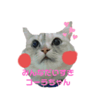 俺をずっと支えてくれてた～絆～（個別スタンプ：31）