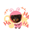 あずfam（個別スタンプ：1）