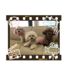 あずfam（個別スタンプ：2）