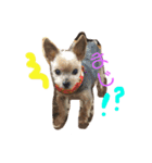 ゆずからの、ひとこと（個別スタンプ：6）