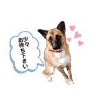 のん♀_002（個別スタンプ：7）