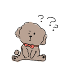 素朴なトイプードル【あずき】（個別スタンプ：11）