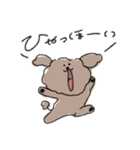 素朴なトイプードル【あずき】（個別スタンプ：12）