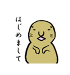 ジョンという名のプレーリードッグ（個別スタンプ：1）