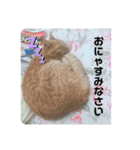 愛しきにゃんズの日々（個別スタンプ：18）