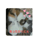 愛しきにゃんズの日々（個別スタンプ：28）