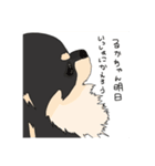 実は猫派（個別スタンプ：8）