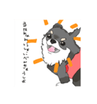 実は猫派（個別スタンプ：10）