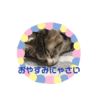 アルスタンプその1（個別スタンプ：3）