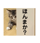 アルスタンプその1（個別スタンプ：6）