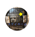 寺犬ゴン太 本昌寺（個別スタンプ：2）