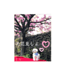 寺犬ゴン太 本昌寺（個別スタンプ：12）