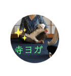 寺犬ゴン太 本昌寺（個別スタンプ：14）