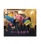 寺犬ゴン太 本昌寺（個別スタンプ：18）