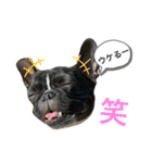 フレブル こなつ2（個別スタンプ：5）