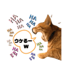 茶太郎と黒子の毎日2（個別スタンプ：1）