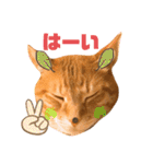 茶太郎と黒子の毎日2（個別スタンプ：20）