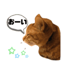 茶太郎と黒子の毎日2（個別スタンプ：27）