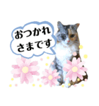 ジョバとグとポン（個別スタンプ：8）