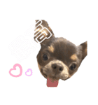RAL ❤︎ パルフレ（個別スタンプ：16）